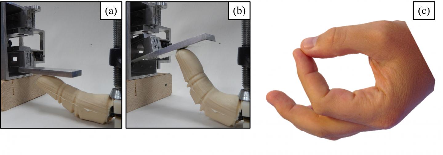 Bio-Inspired Robotic Finger