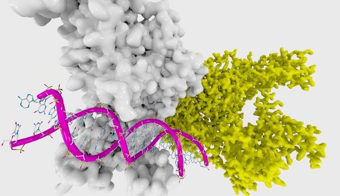 DNA methylation data can help predict gastric cancer risk