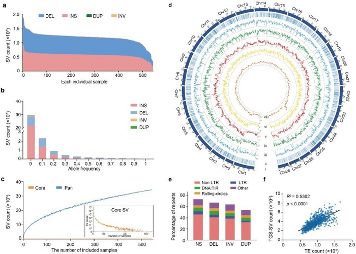 545 silkworm genomes