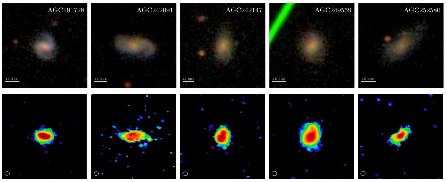Stellar vs. Molecular Hydrogen in Gas-Rich Galaxies