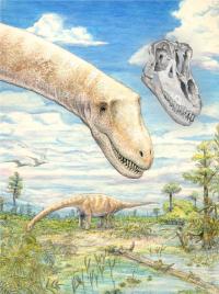 Newly Discovered Titanosaurian Dinosaur from Argentina, Sarmientosaurus (2/2)
