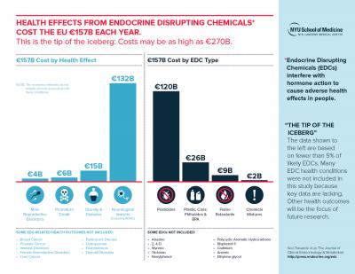 Economic Costs of Endocrine-Disrupting Chemical Exposure in the European Union