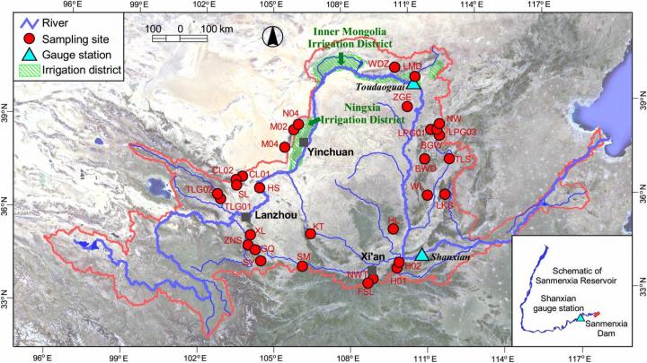Thirty-One Tree-Ring Sites in the Middle-Upper Reaches of the Yellow River (YR)