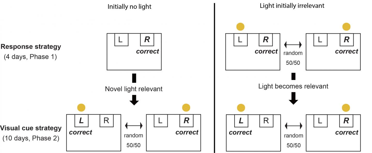Changing the Rules of the Game