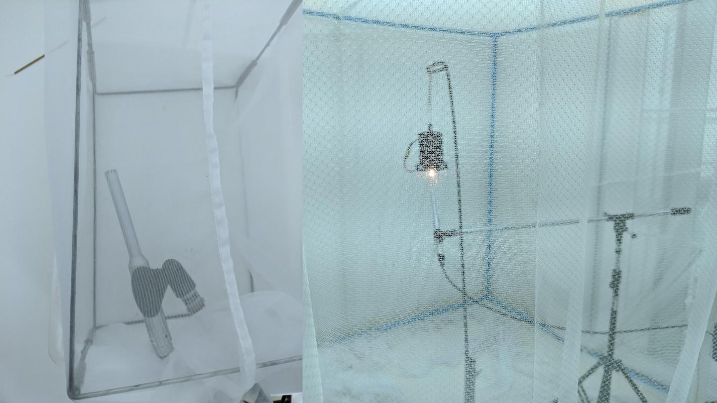 Imitation mosquito "ear"