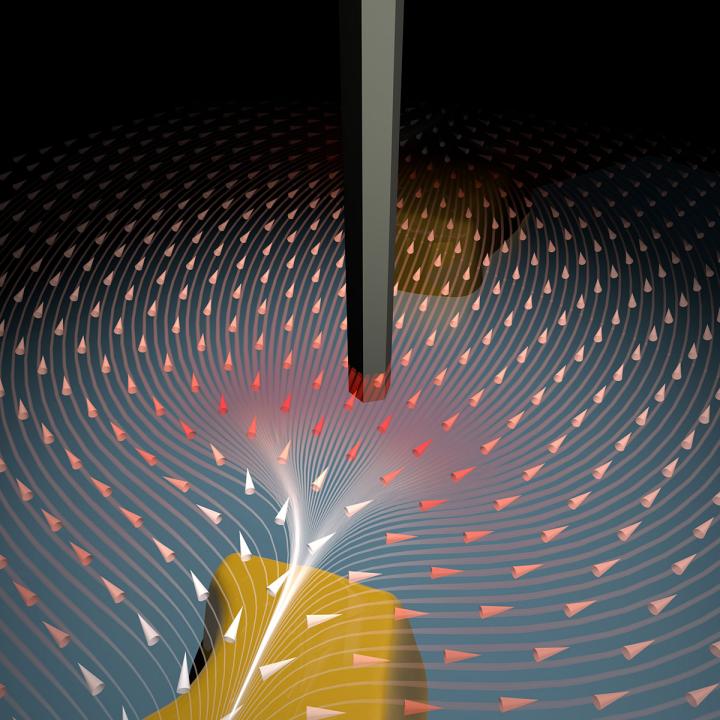 Nanowire Sensor