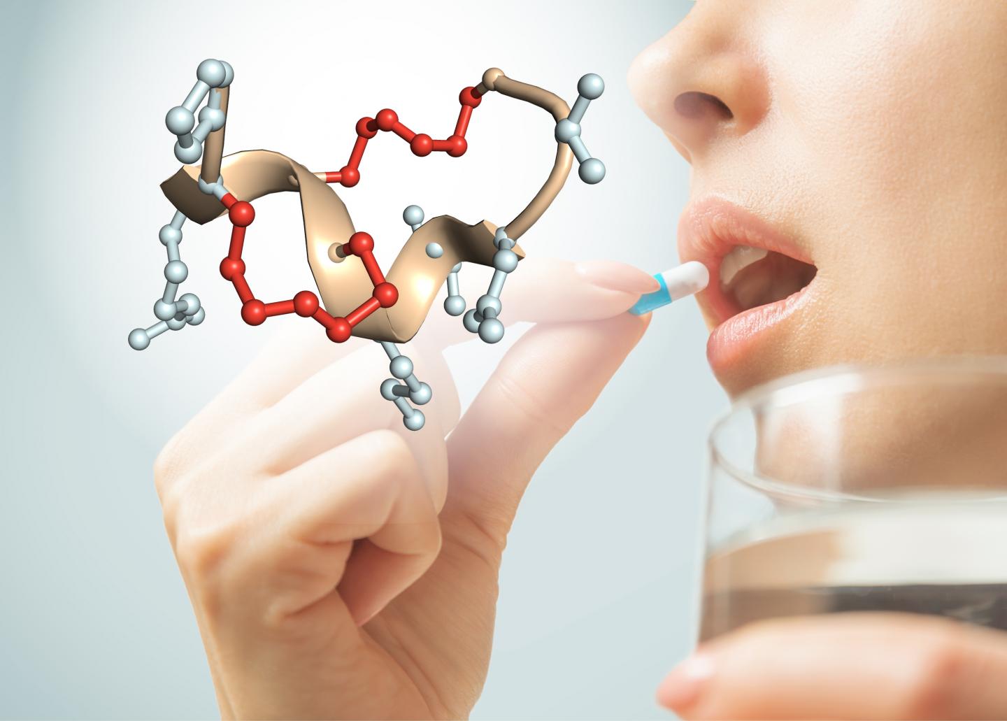 Structure of a double-bridged peptide that resists degradation in the stomach