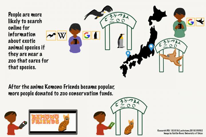 Infographic of Research on the Effect of Anime on Conservation