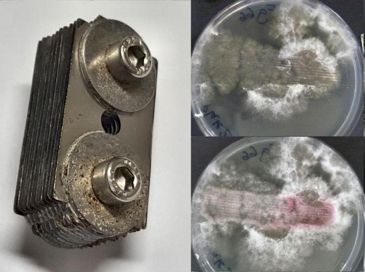 Cutting Tool and Mould