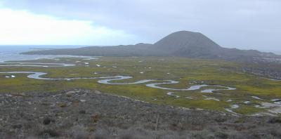 Tidal Habitats of Bahia San Quintin