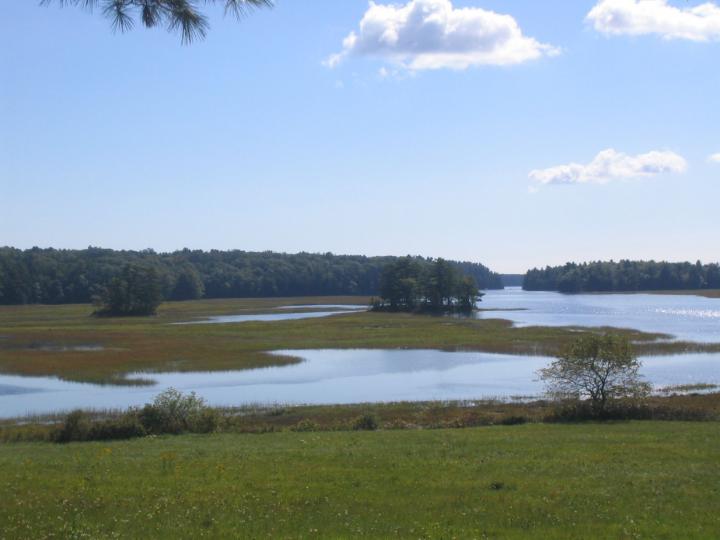 Atlantic Killifish's Habitats
