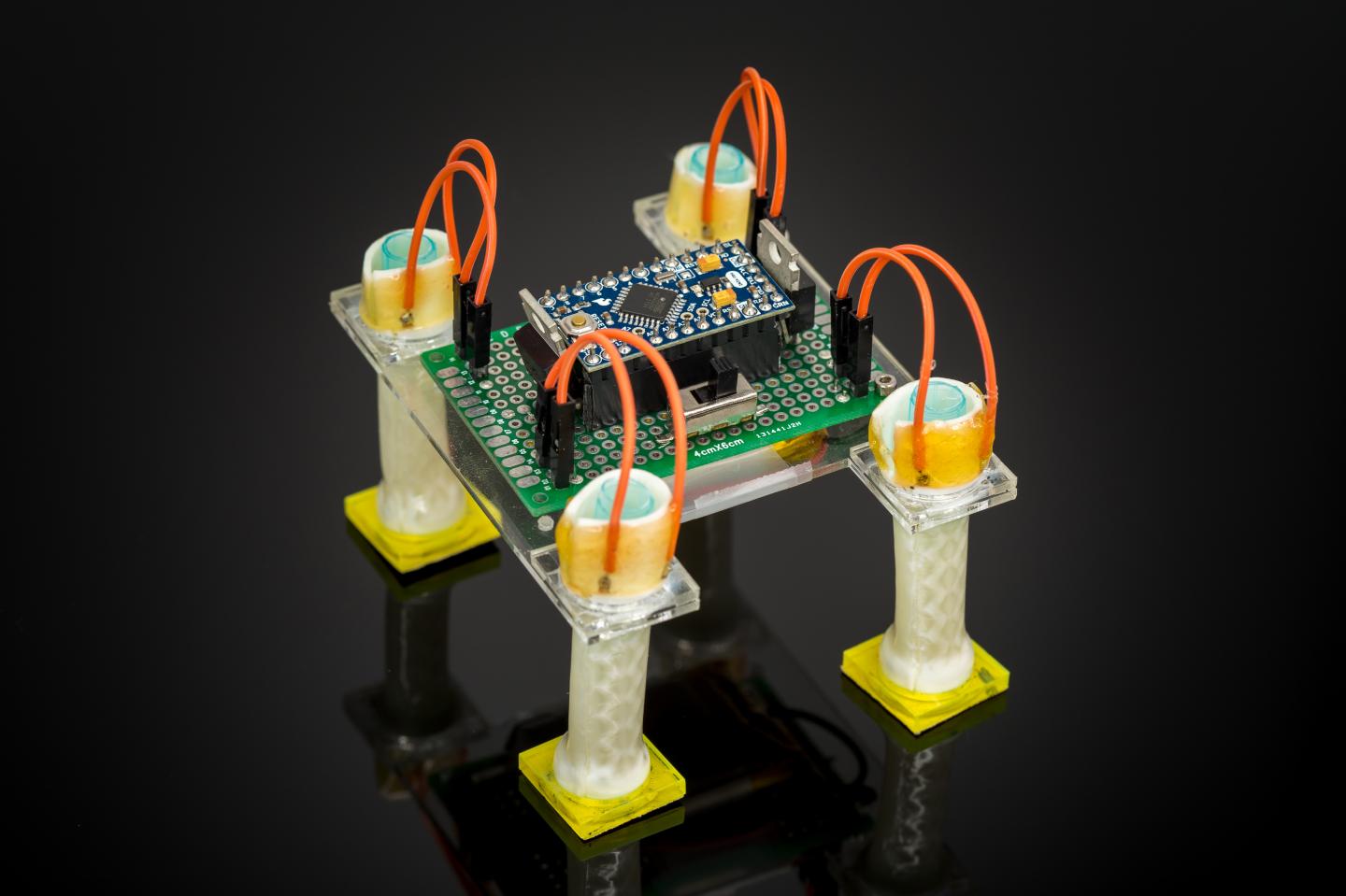 Electrically controlled liquid crystal elastomer-based soft tubular actuator with multimodal actuation (1 of 3)