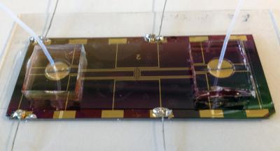 Biomolecular Tweezers