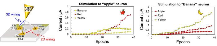 Fig. 3