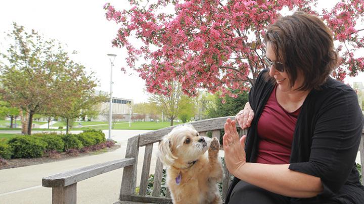 Humane society store emotional support animal