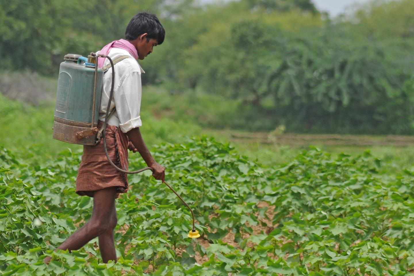 Farmer