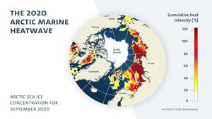 The 2020 Arctic marine heatwave