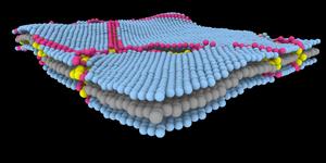 2D material structure