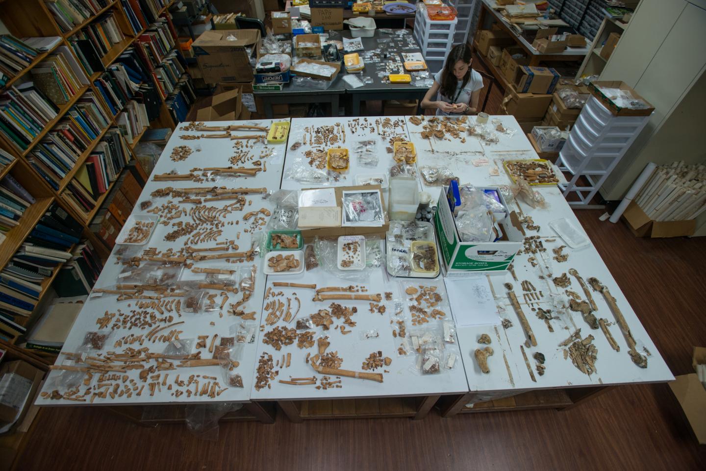 Nicole Guzmán-Smith, Smithsonian Tropical Research Institute