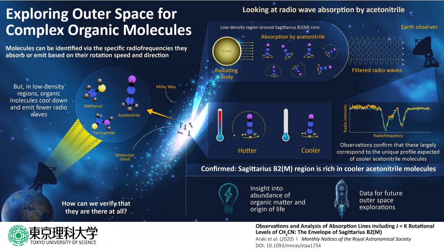 Radiofrequency Footprint  of COMs