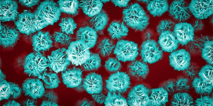 Flower-like zinc oxide particles