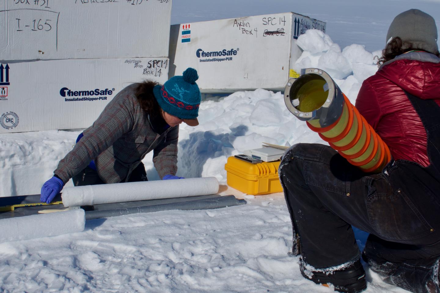 Measuring Ice Cores [IMAGE] EurekAlert! Science News Releases