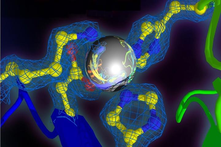 A New Guide for Explorers of the Submicroscopic World Inside Us