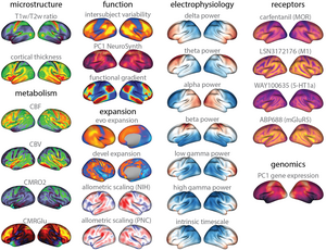 multi modalities