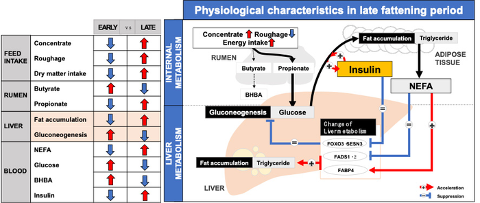 Figure Image Eurekalert Science News Releases