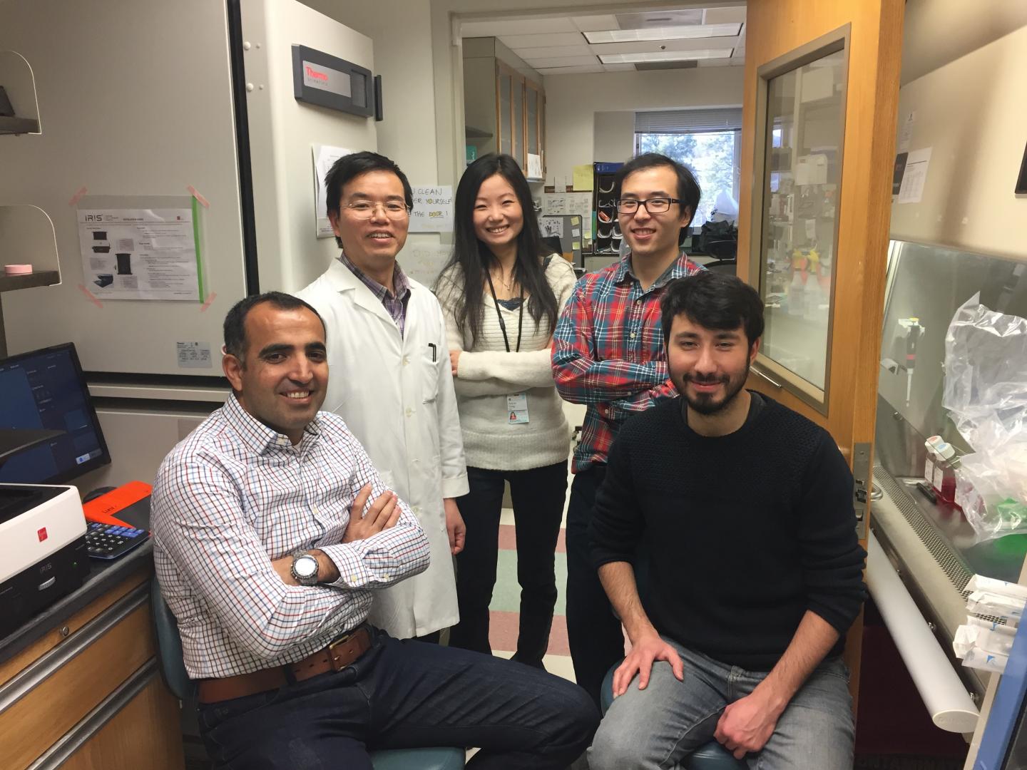 UVA Finds Way to View Genes in Living Cells
