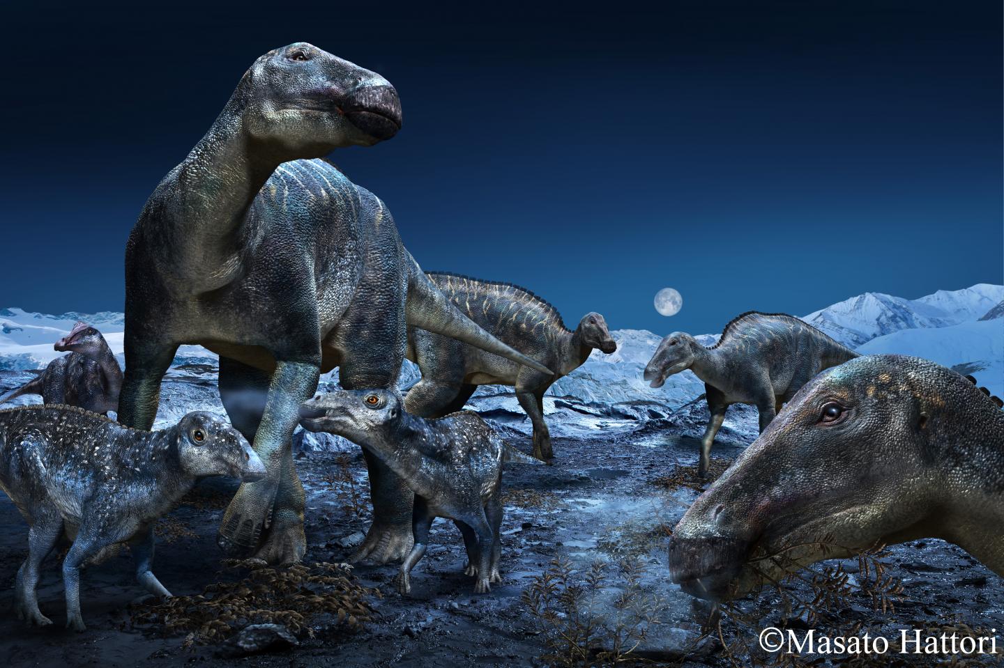The 70 million-year-old Prince Creek Formation featuring dinosaurs of ancient Arctic as genus Edmontosaurus