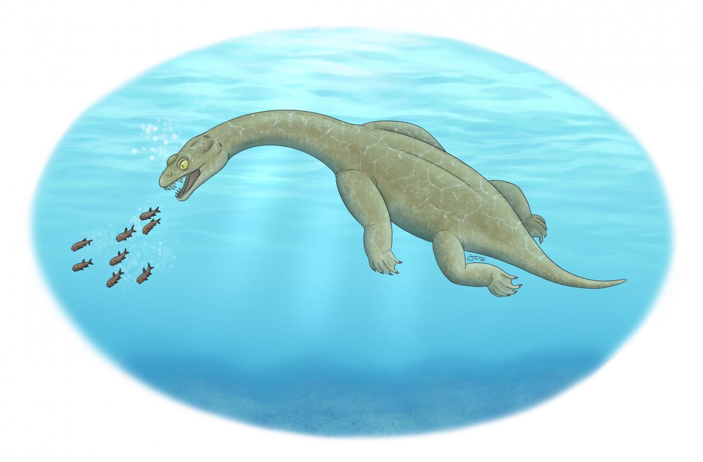 Brevicaudosaurus