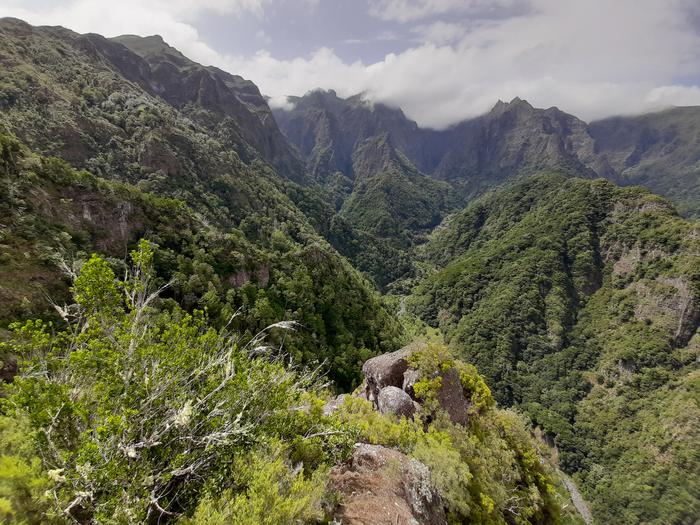 Laurel Forest, Madeira Island, Portugal