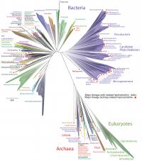 Newly Expanded Tree of Life