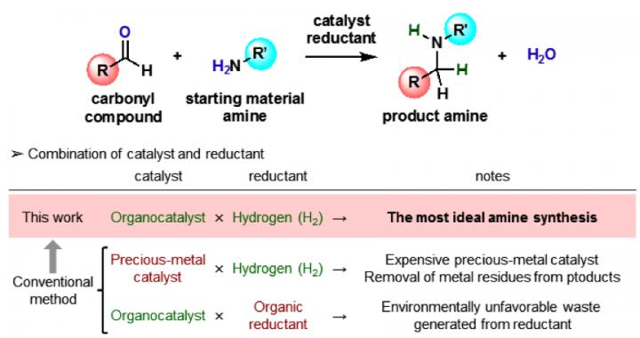 Figure 1 General Scheme for Catalytic Reductive Alkylation of Amines