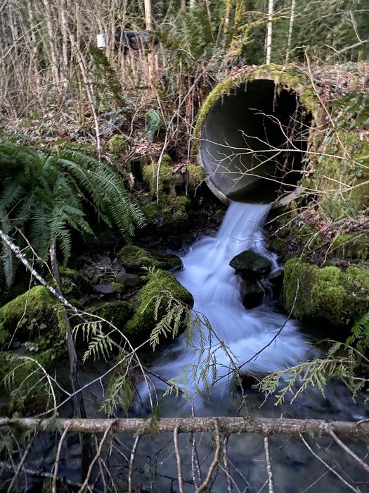 Older Culvert