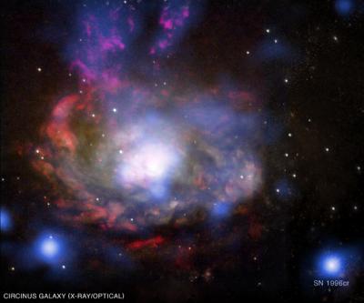'Wild Cousin' of Supernova 1987A