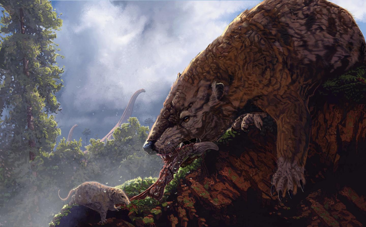 Mammals in the time of dinosaurs held each ot | EurekAlert!