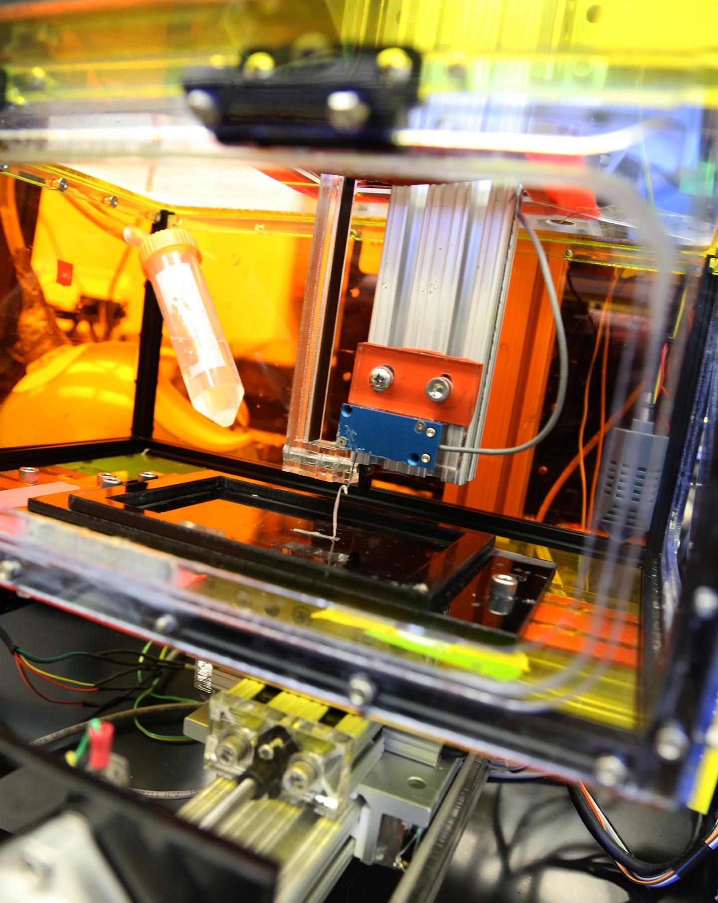 Button  Experimental System