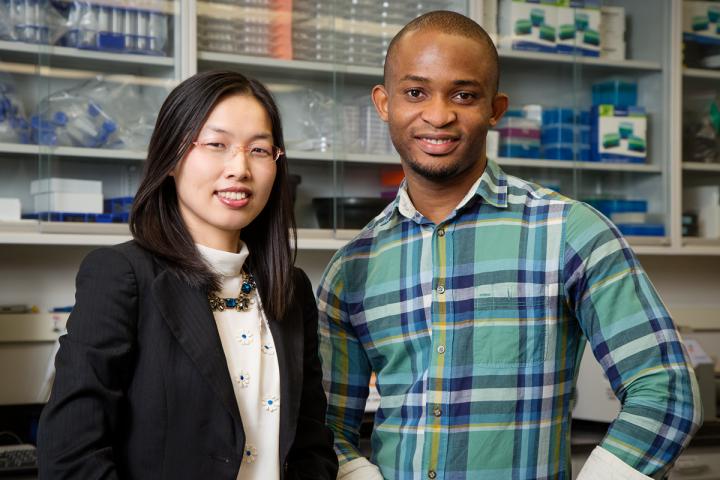 Nu-Chu Liang and Nnamdi Nelson, University of Illinois at Urbana-Champaign