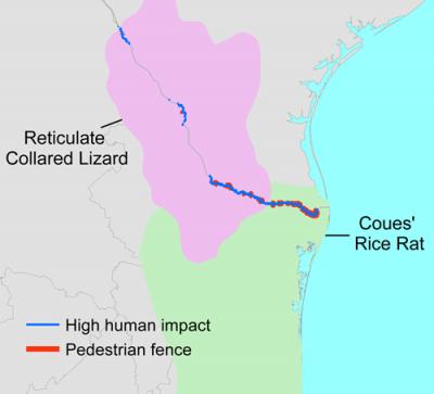 Texas Border Map Showing 2 Species at Risk