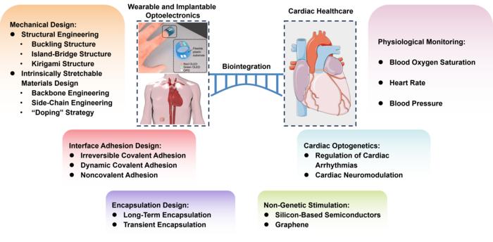 Biointegrated wearable and implantable optoelectronic devices for cardiac healthcare.