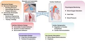 Biointegrated wearable and implantable optoelectronic devices for cardiac healthcare.