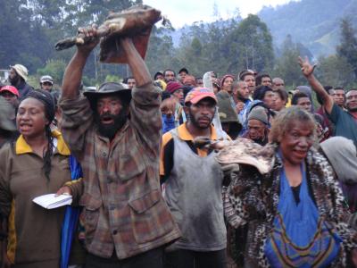 Enga offer pork as compensation