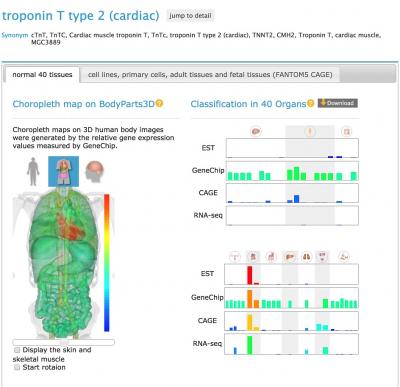 Detailed Search Result