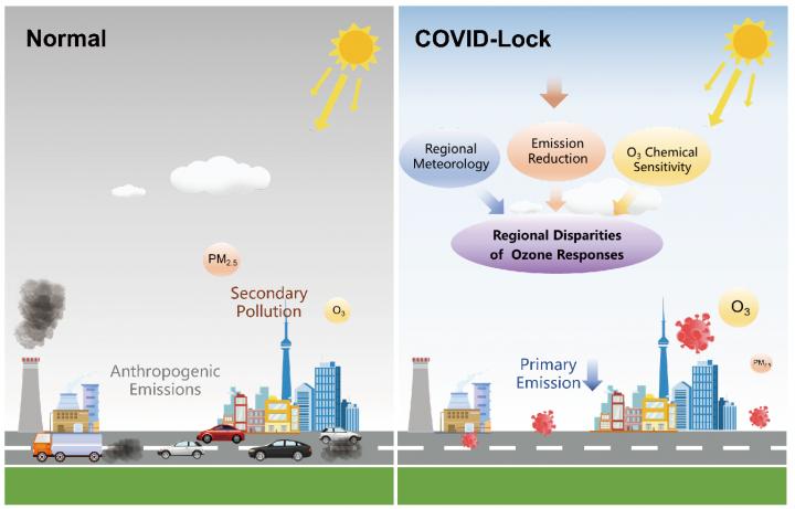 METEOROLOGICAL AND CHEMICAL DRIVERS BEHIND REGIONALLY DIFFERENT OZONE RESPONSES TO THE COVID-19 LOCKDOWN