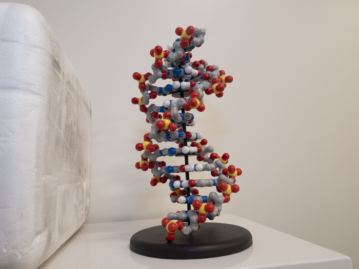 DNA