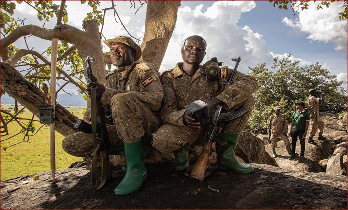 Uganda rangers