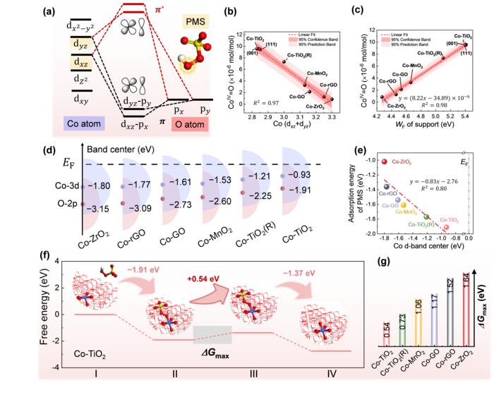 Fig. 4 Influences and theoretical analysis of CoIV=O generation in Co-SACs/PMS system. (a) Schematic diagram of Co-O bonding π and antibonding π* orbitals in the Co-SACs/PMS system. (b-c) Influences on CoIV=O generation in the Co-SACs/PMS system. (d-g) 