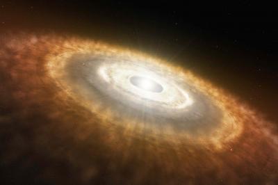 Artist's Rendition of a Protoplanetary Disk